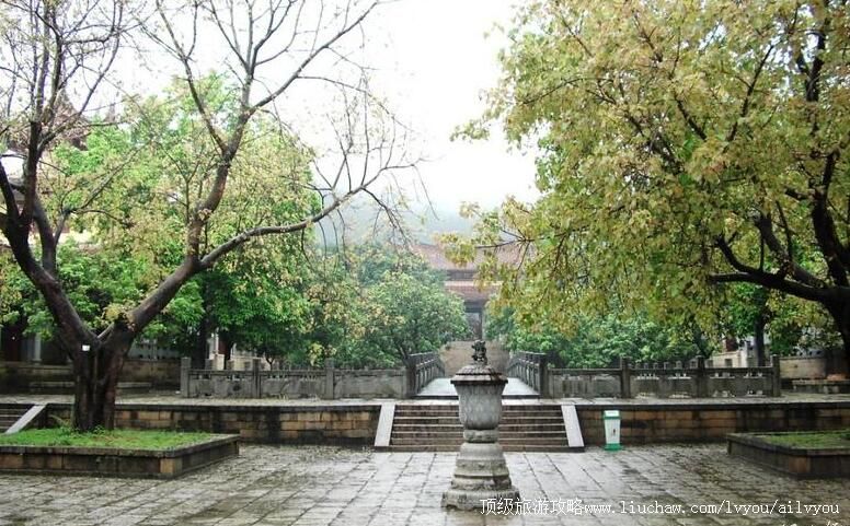 ����������ɽ�㻯�����ι���