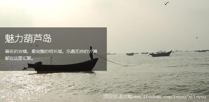 ���� ��«�� �������棺1��