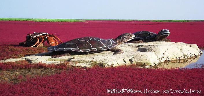 ���� �̽� �������棺1��