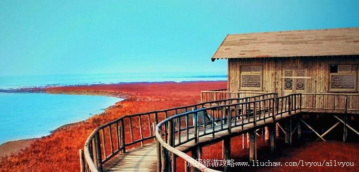 ���� Ӫ�� �������棺1��