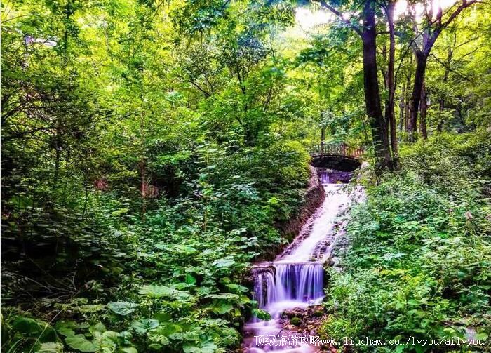 4A河南栾川王府竹海旅游攻略