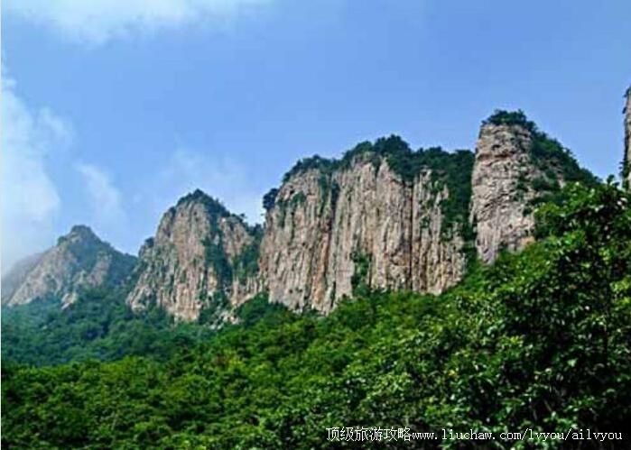 4A�����������������ɭ�ֹ�԰���ι���