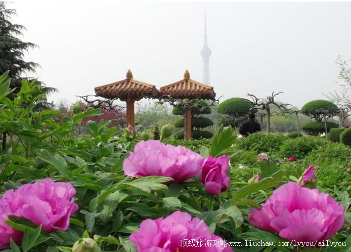 4A�����������й�����԰�������ι���