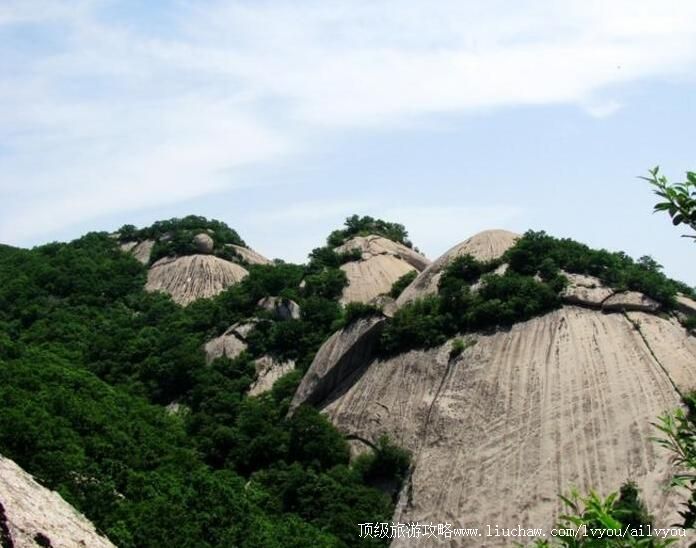 4A���������������ɽ����ɭ�ֹ�԰���ι���