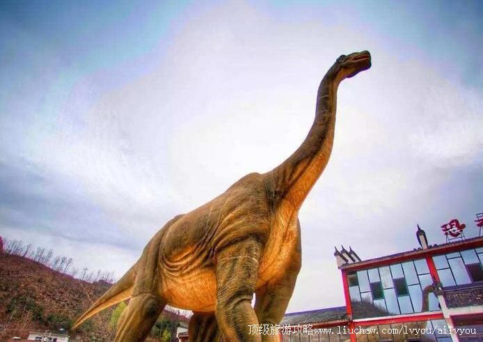 4A��������������Ư���������ι���