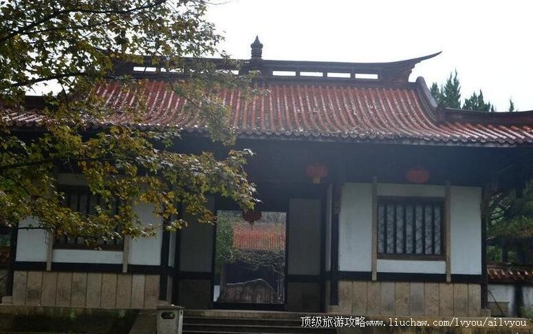 ��������ɽ������������ι���