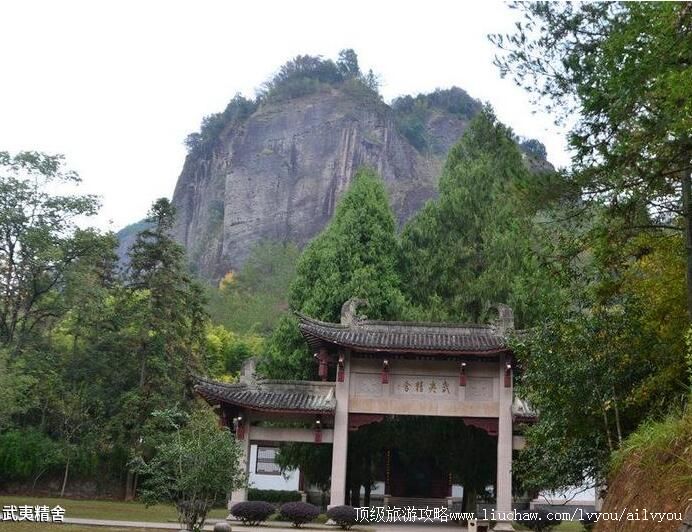 �������ľ������ι���