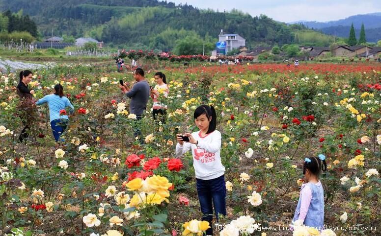 4A�����������������Ļ����������ι���