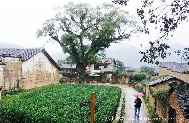 3A��������ʯ�ڴ����ι���