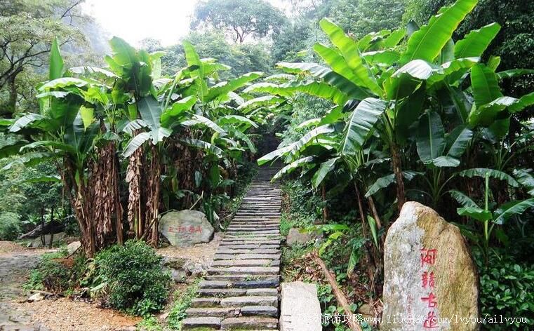 3A������ƽ��ǧ�˰ٿ����ι���