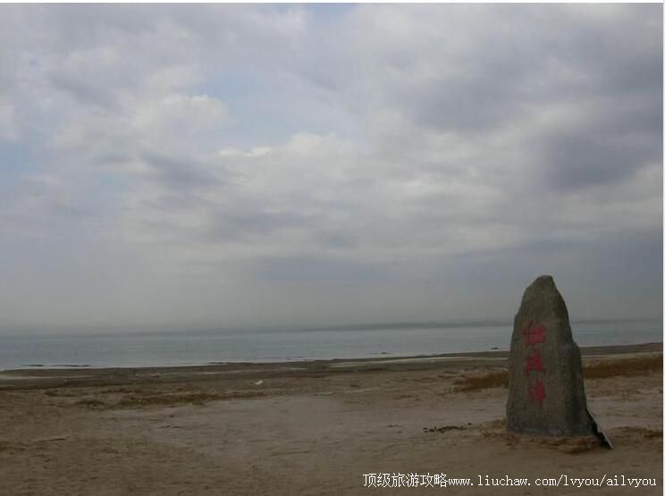 4A������ľ��������ι���