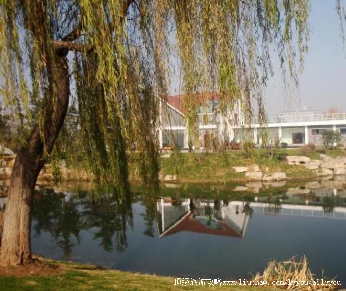 3A���ݱ�����԰���ι���