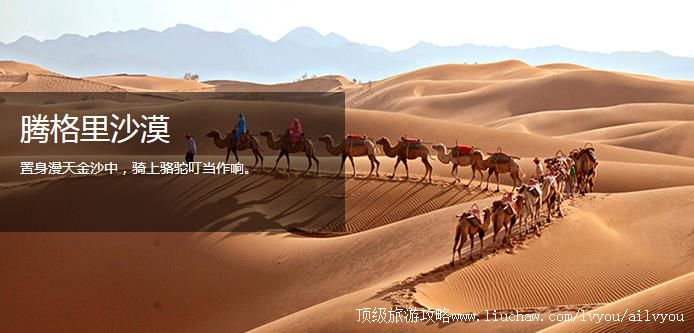 ���ɹ� �������� �������棺2��