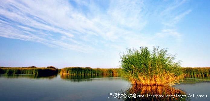 ���ɹ� �����׶�  �������棺1��