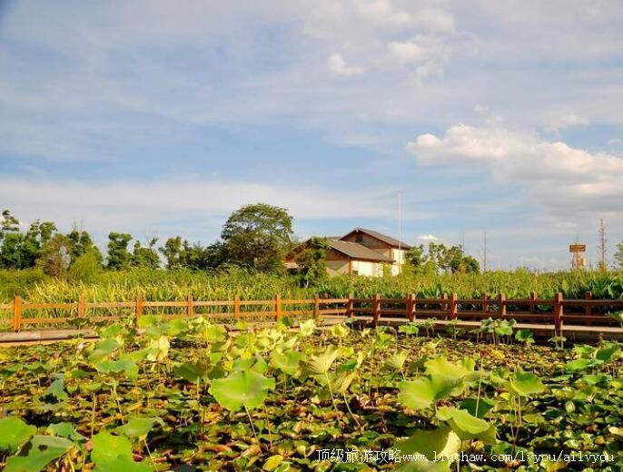 4A��ɳ���ʪ�ؾ������ι���