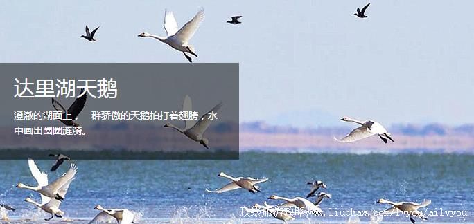 ���ɹ�  ���  �������棺3��