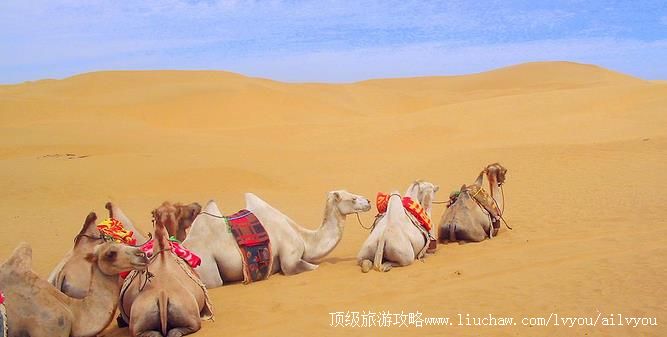 ���ɹ� ������˹ �������棺1��