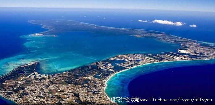 ����Ⱥ�� �������棺3��