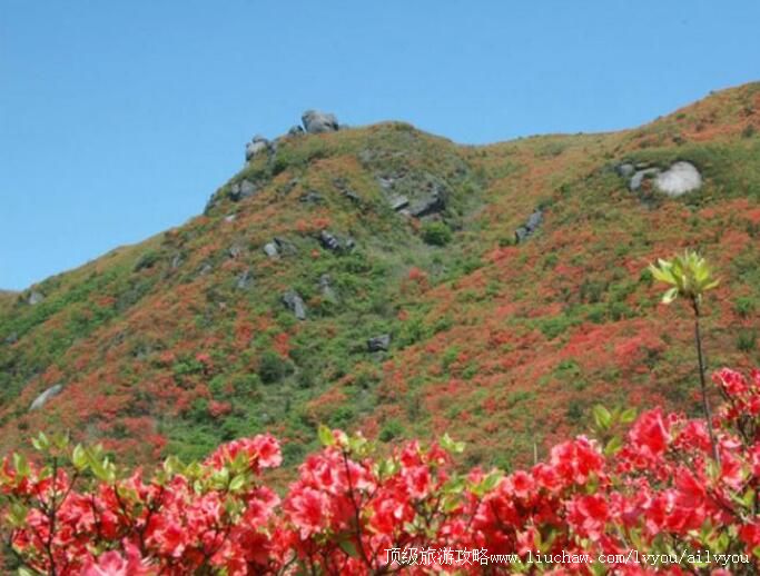 4A��ɳ��Χɽ����ɭ�ֹ�԰���ι���