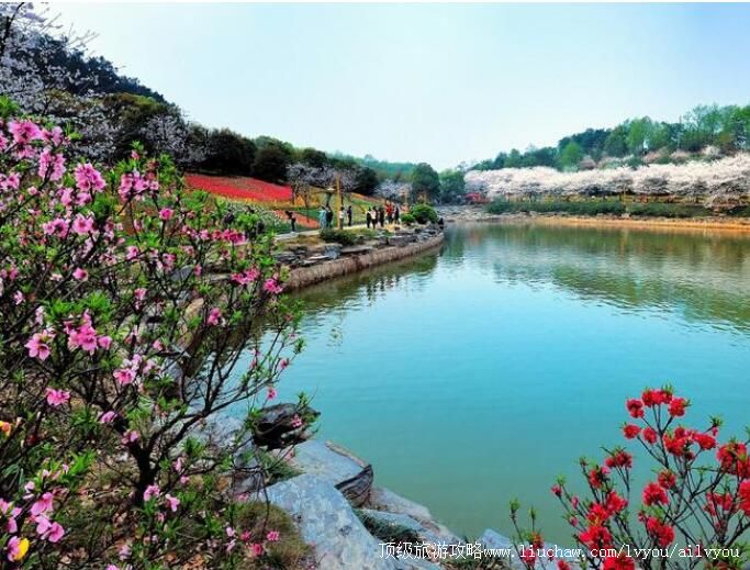 4A����ʡɭ��ֲ��԰���ι���