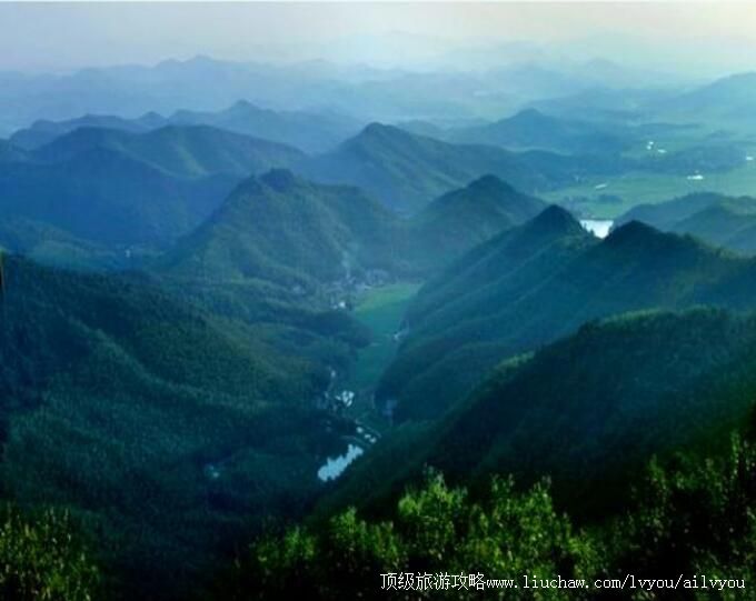 3A���Ϸ��ɽɭ�ֹ�԰���ι���