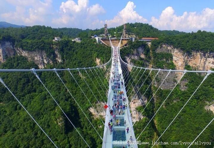 �żҽ粣�������ι���