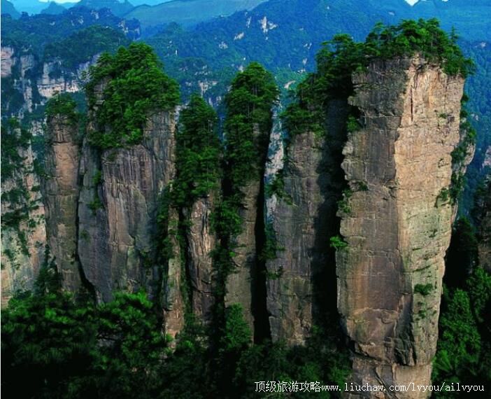 5A�żҽ�����Դ���ι���