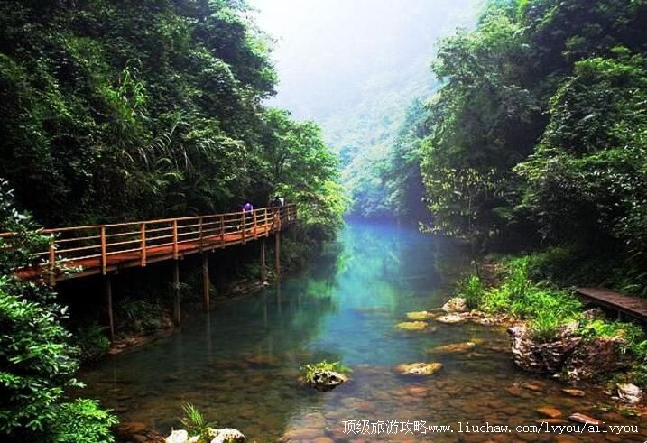 4A�żҽ��{�����ι���