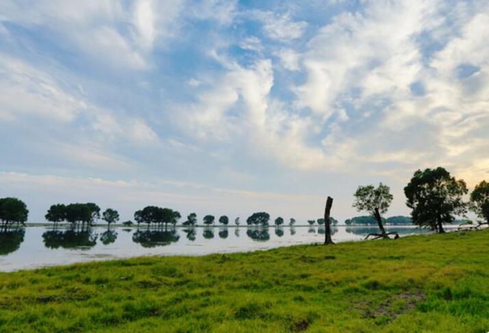 ���϶���ͥ�����Ҽ���Ȼ���������ι���