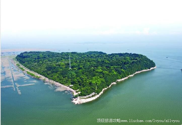 5A������ɽ���������ι���