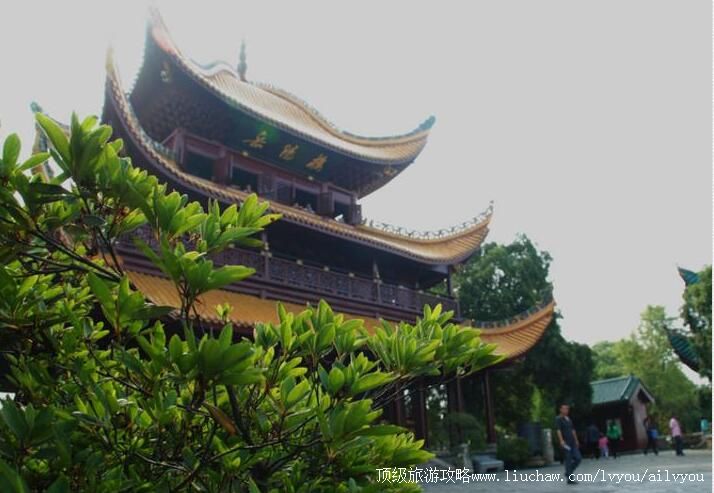 5A��������¥���������ι���