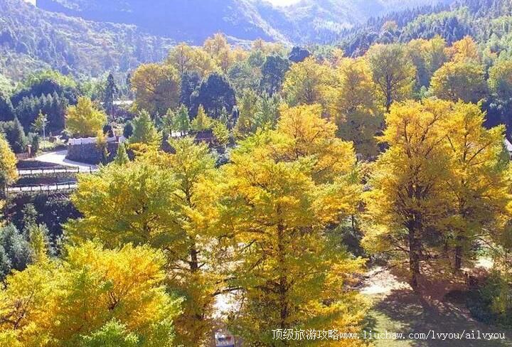 4A永州桐子坳景区旅游攻略