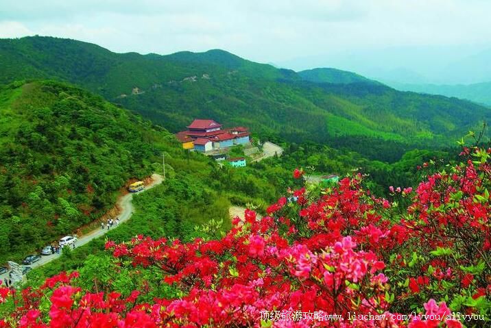 4A湖南阳明山国家级自然保护区旅游攻略