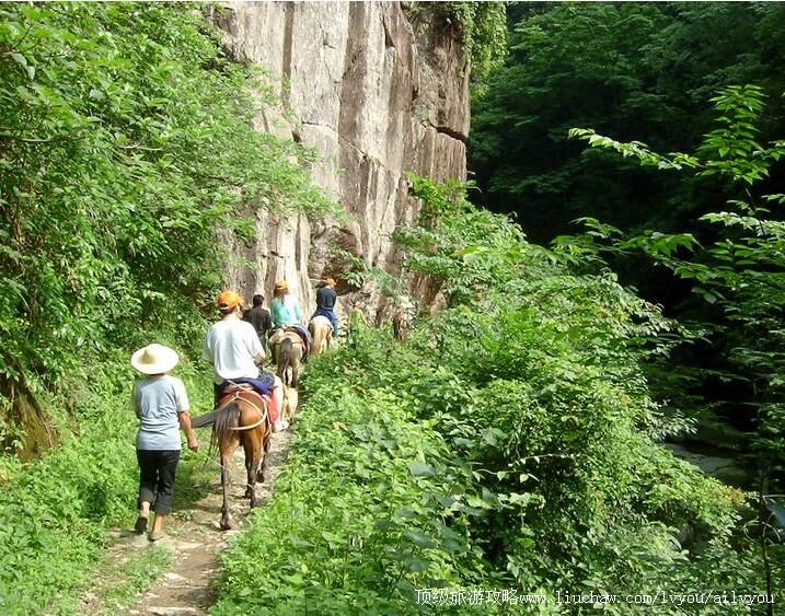 4A�������������ŵ����ι���