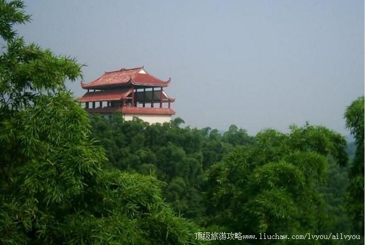 2A�һ��������������ι���