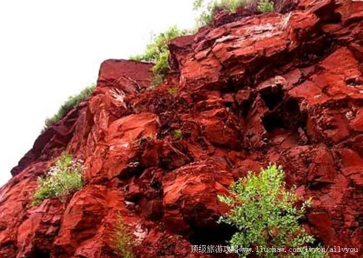 2A�����������η羰�����ι���