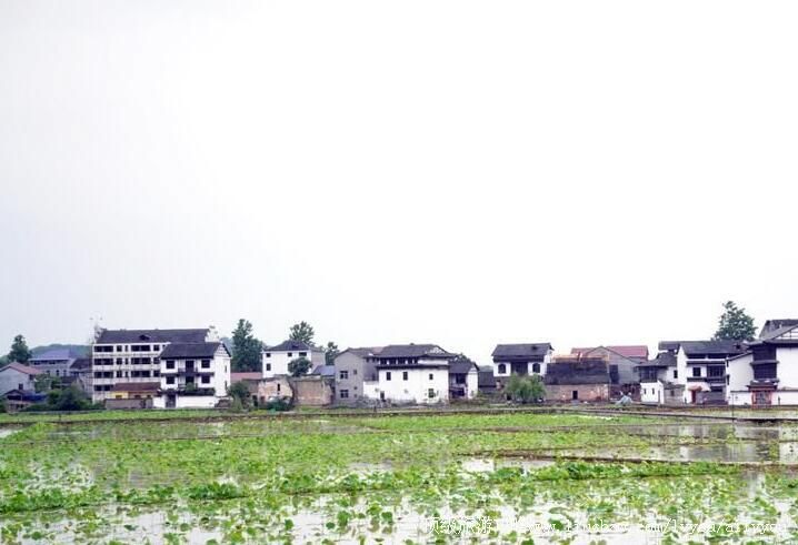 4A湘西浦市古镇旅游攻略