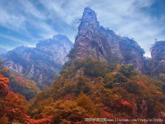 �������ɽ�������ι���