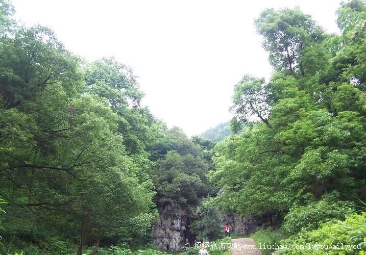 �������·羰�����ι���