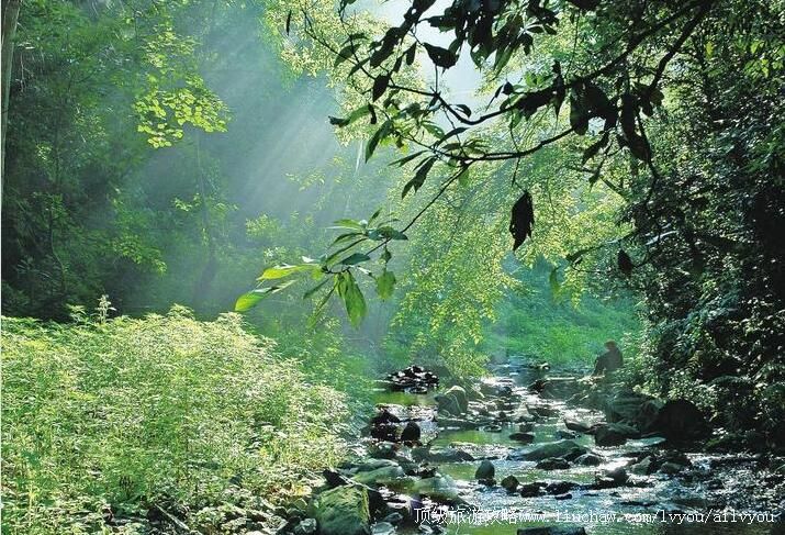 ���Ͻ�ĸϪ���Ҽ���Ȼ���������ι���