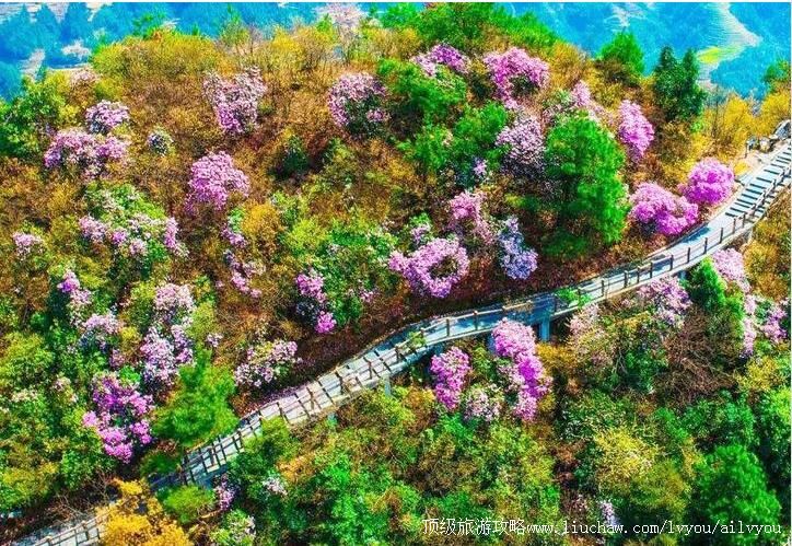 4A���ִ���ɽ�������ι���