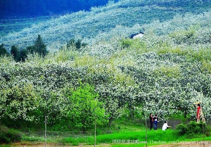 3A��������ɽɭ�ֹ�԰���ι���