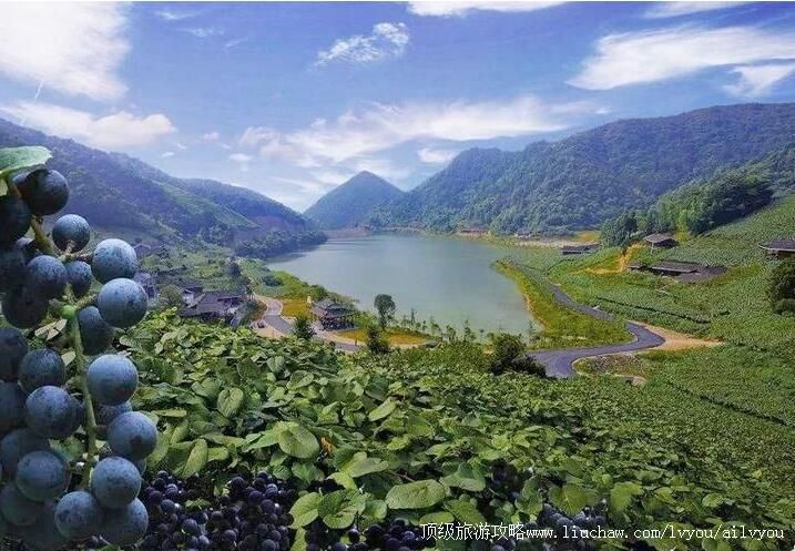 3A�����й��Ϸ����ѹ����ι���