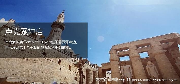 ���� �������棺10��