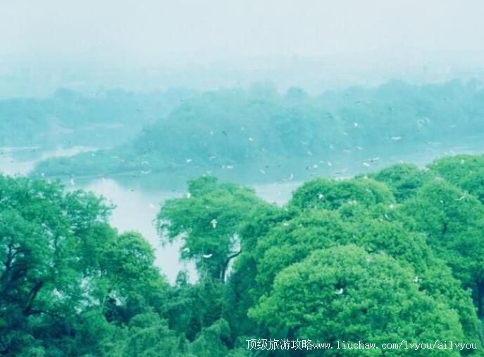 3A衡阳江口鸟洲旅游攻略