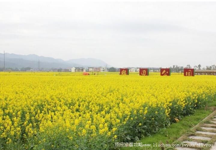 4A���ݰ��ʵ��﹫԰���ι���