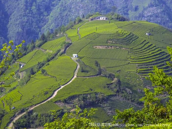 ���Ϻ�ƿɽ���Ҽ���Ȼ���������ι���