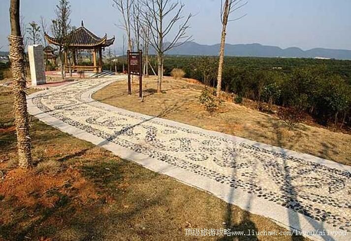 4A�����ֲ����ʾ����ι���