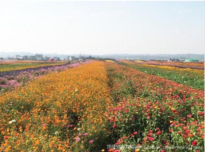 4A���·��ֻ������������ι���