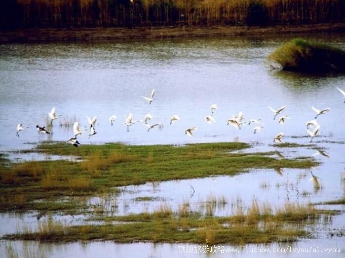 3A��������ͥ�����ҳ���ʪ�ع�԰���ι���